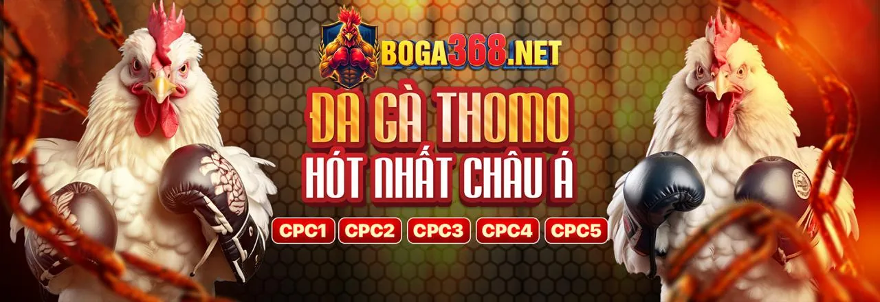 Tin tức 77ball đăng nhập mới nhất