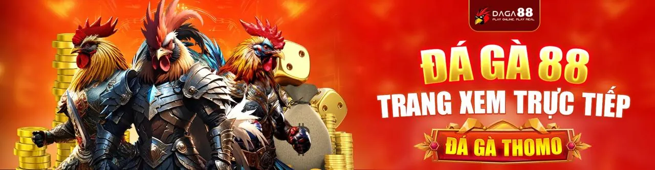 Sân đấu đá gà trực tuyến 77ball sôi động